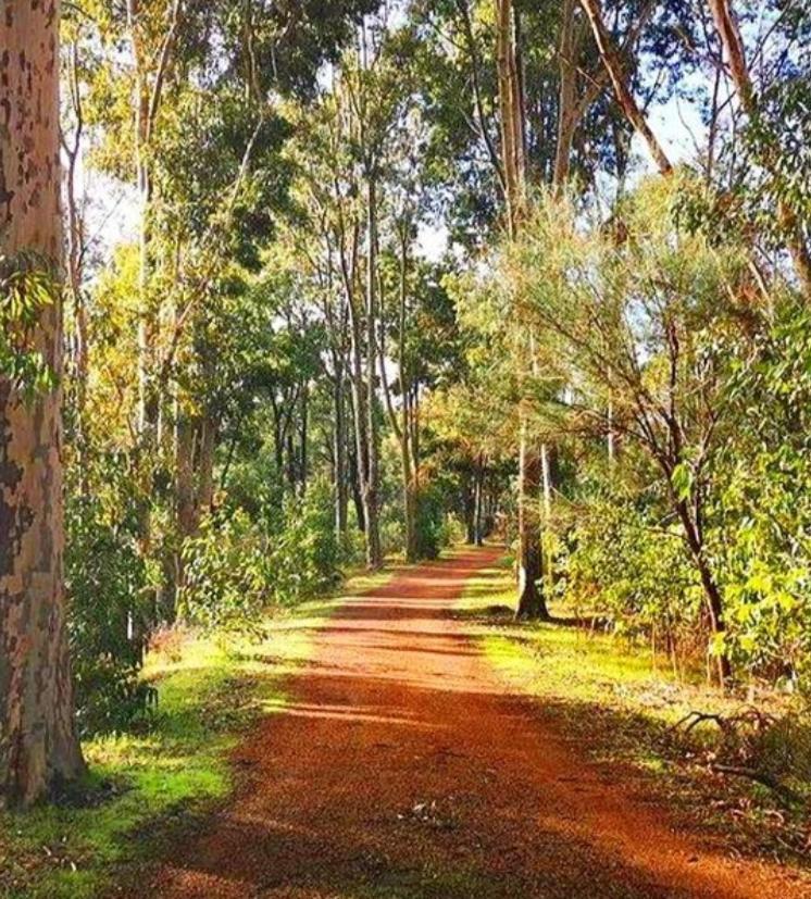Mahogany Inn And Distillery Mahogany Creek Екстер'єр фото